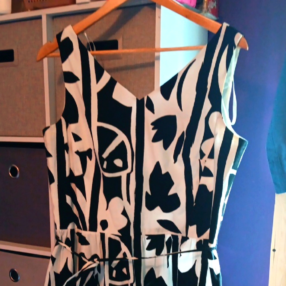 Stylish Black and White Women's Dress
